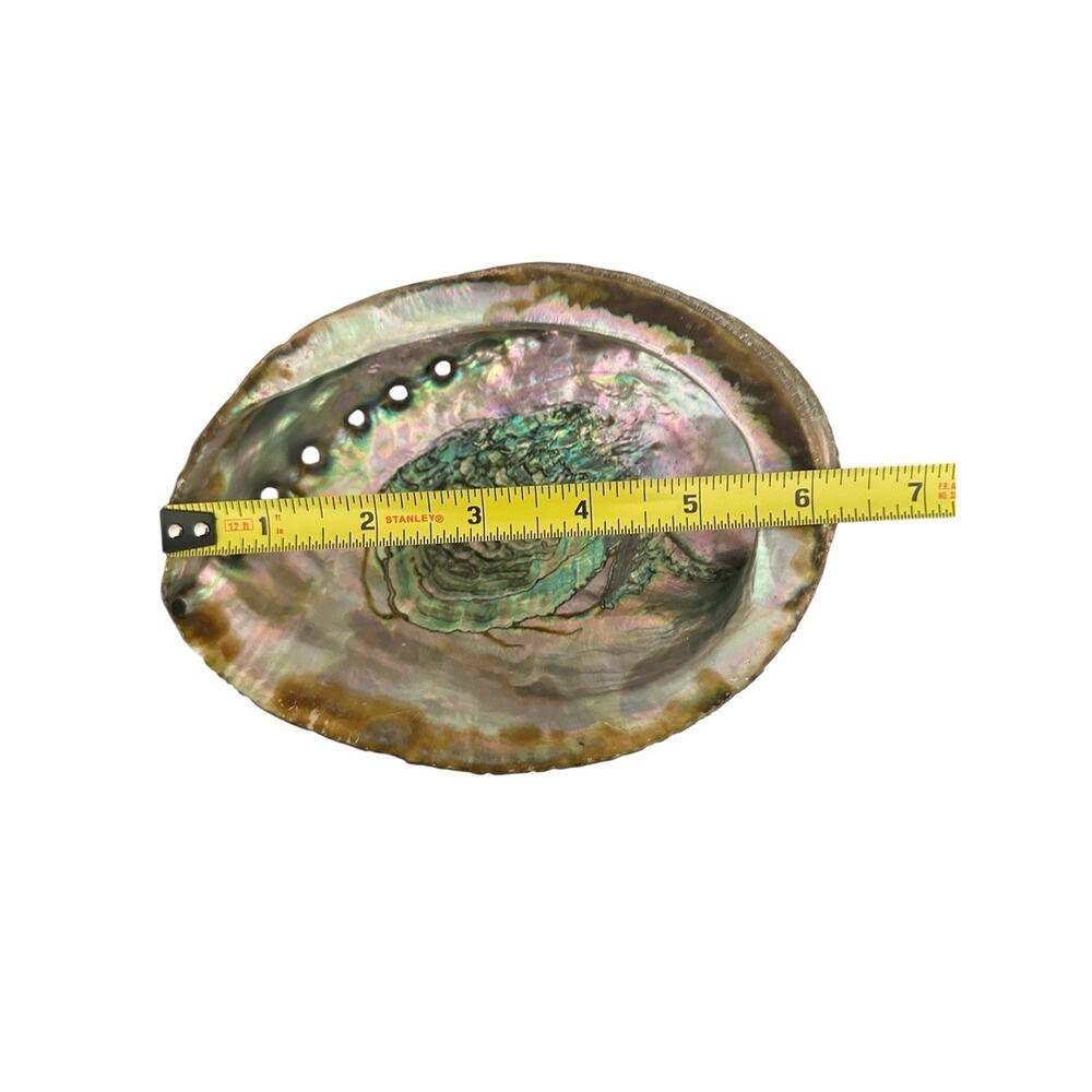 Large Natural Abalone Shell 6” Iridescent Mother of Pearl Smudging Bowl Trinket - Picture 4 of 10